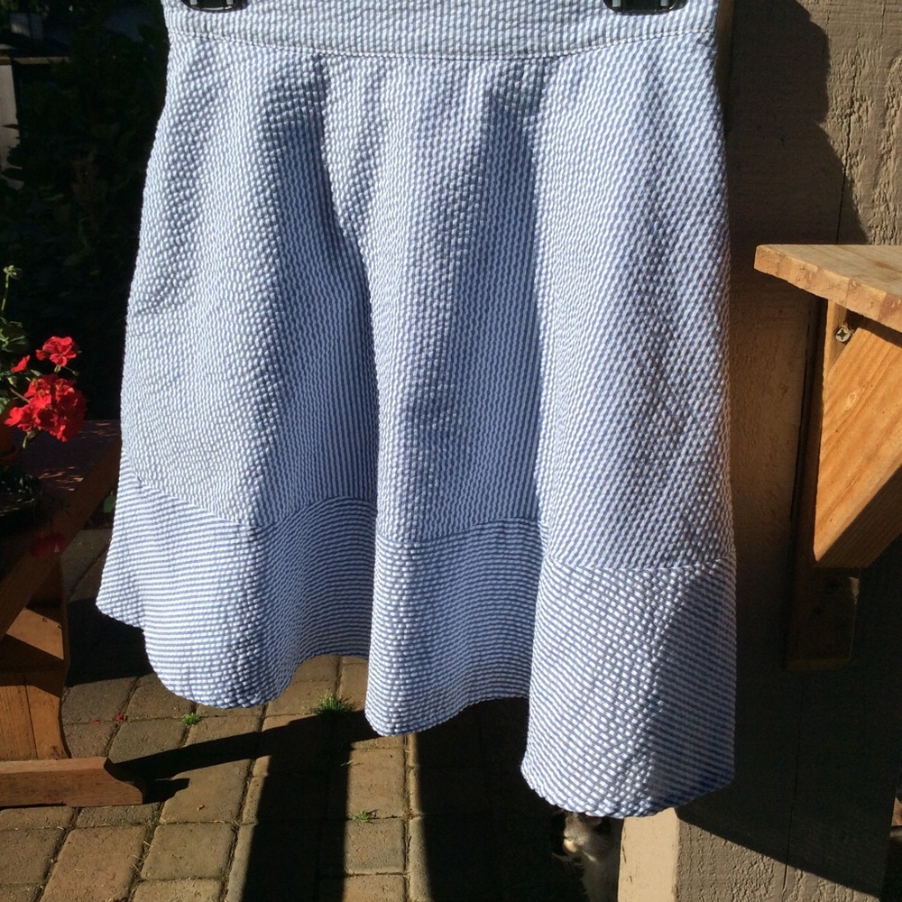 Anthropologie Alya skirt seersucker Sz S lined